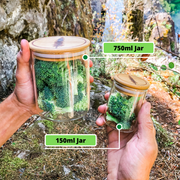 Large Stash Jars (750ml)