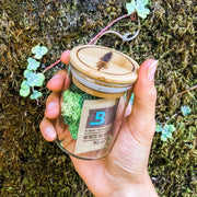 Boveda 4 Gram 62% RH - 10 PACK