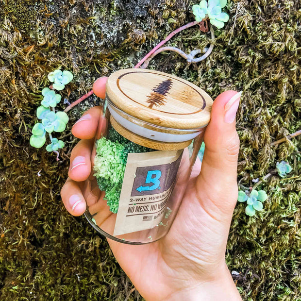 Boveda 4 Gram 62% RH - 10 PACK
